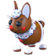 Adopt Me All Server Gingerbread Hare-NFR